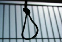 Photo of IHRDC Chart of Executions by the Islamic Republic of Iran – 2019