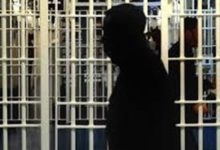 Photo of شهادتنامه حامد