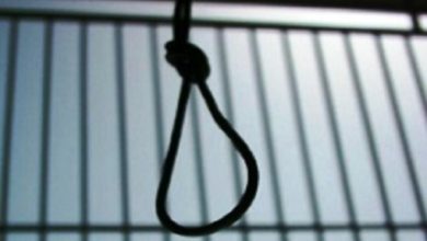 Photo of IHRDC Chart of Executions by the Islamic Republic of Iran – 2018