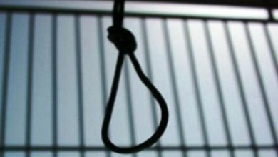 Photo of IHRDC Chart of Executions by the Islamic Republic of Iran – 2019
