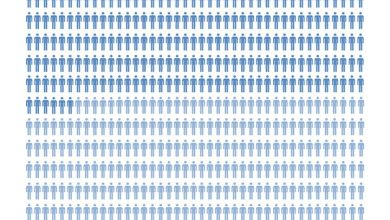 Photo of Infographic of the number of executions in Iran in 2013