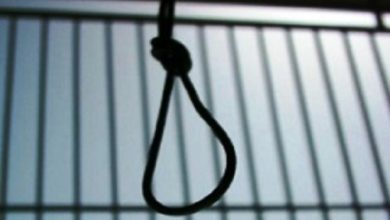 Photo of IHRDC Chart of Executions by the Islamic Republic of Iran – 2017