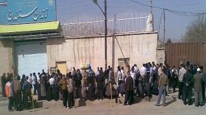 Photo of Witness Statement: Shima Asaadi